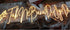 Neon Light - 12x42 inches - Gifty